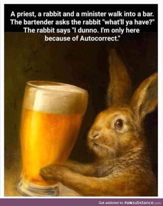 Cheers bunny