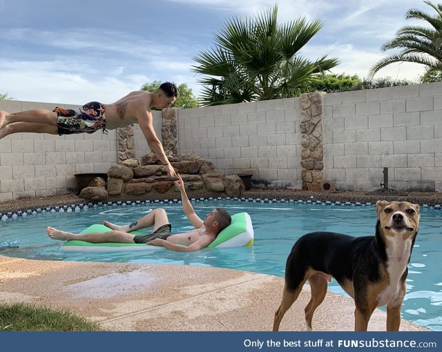 Me and my buddies tried to recreate the God touching Man photo, Maverick decided to join