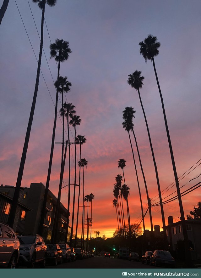 Los Angeles sunset