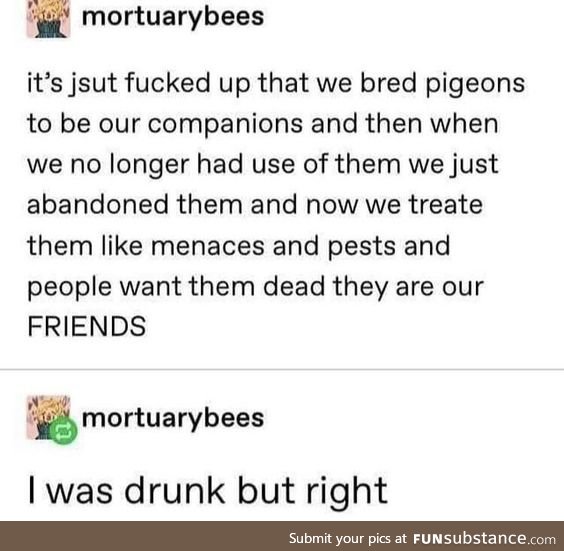 Pigeons