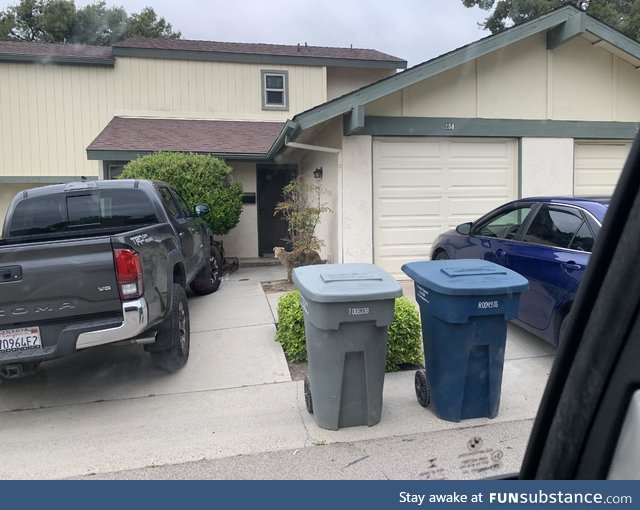 My neighbor likes to hide his (badly done) taxidermy coyote in odd places around the