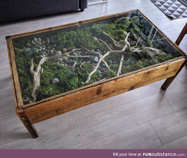 I made a terrarium coffee table. Pics of the build and more info in the comments