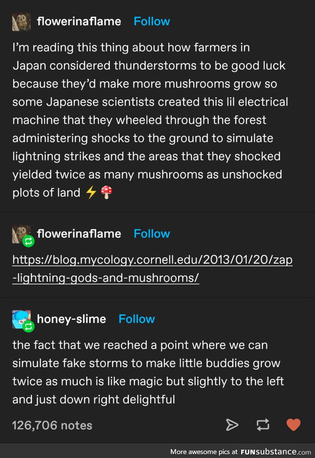 Mooshroom hackers