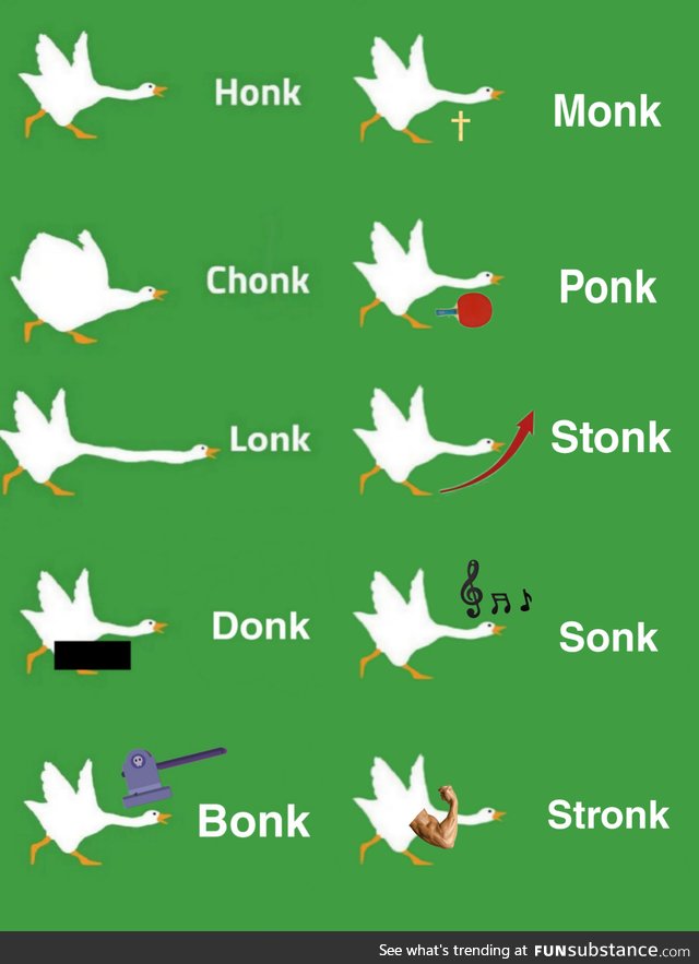 HONK