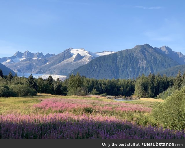 Alaska looks beautiful in the summer!