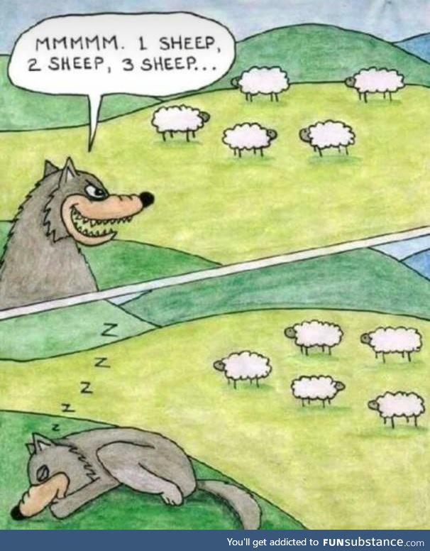 Sheep Humor (Not mine)