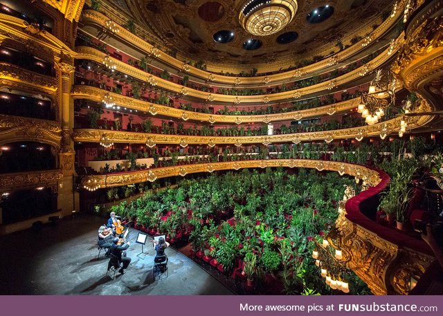 Barcelona Opera (June 22nd, 2020). "The plants were later delivered to health care