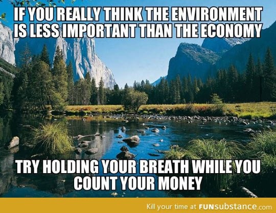 The environment vs. The economy