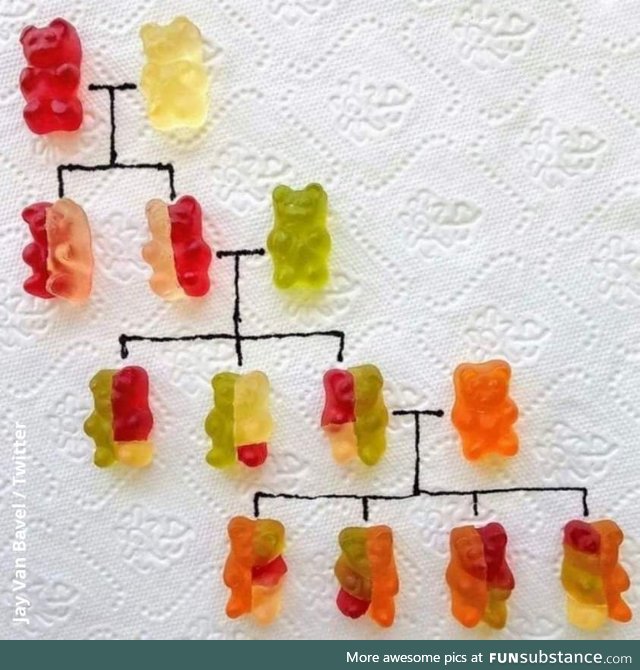 DNA for gummies