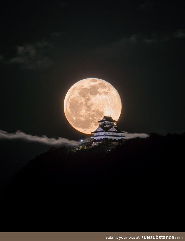 Moon over the castle. Gifu Castle, Japan