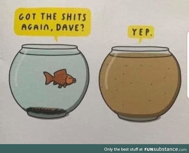 Dave