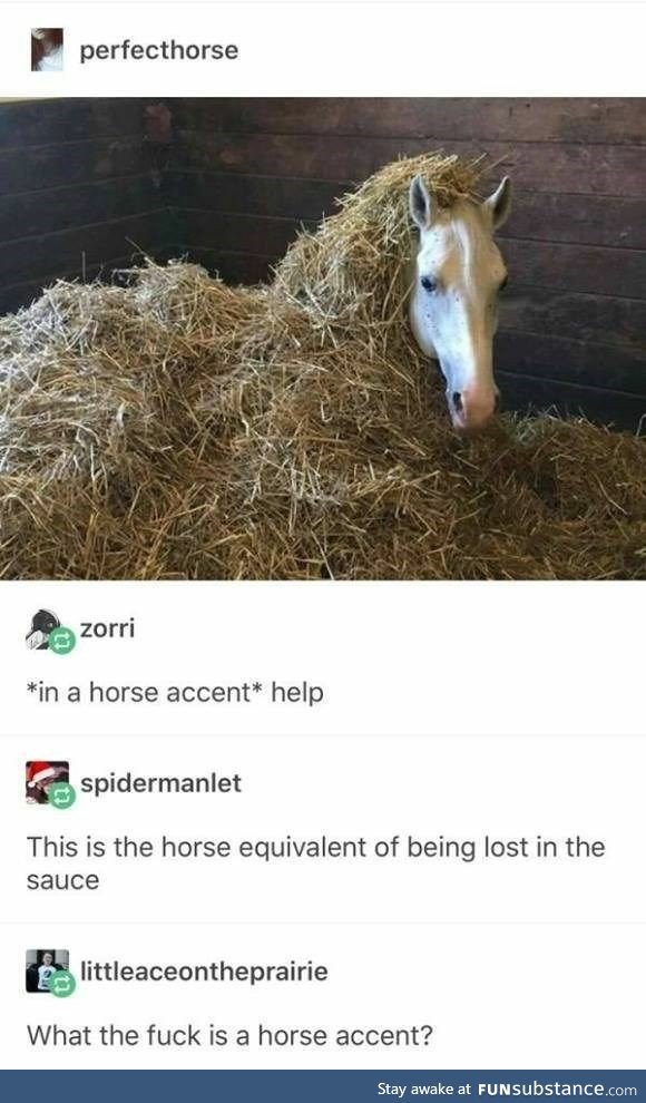 Horse with Sauce