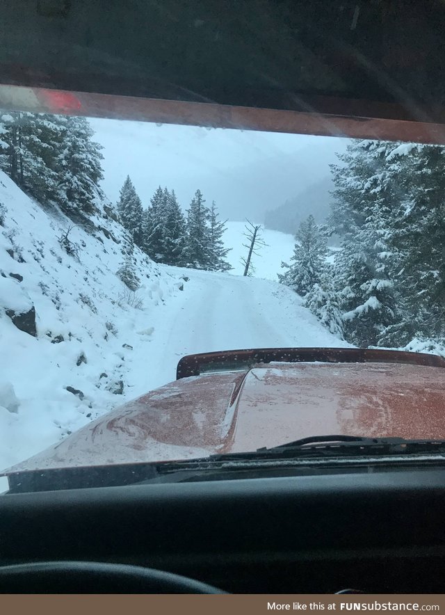 I’m hauling down this road with 140,000lbs of pulp logs going to make toilet paper for