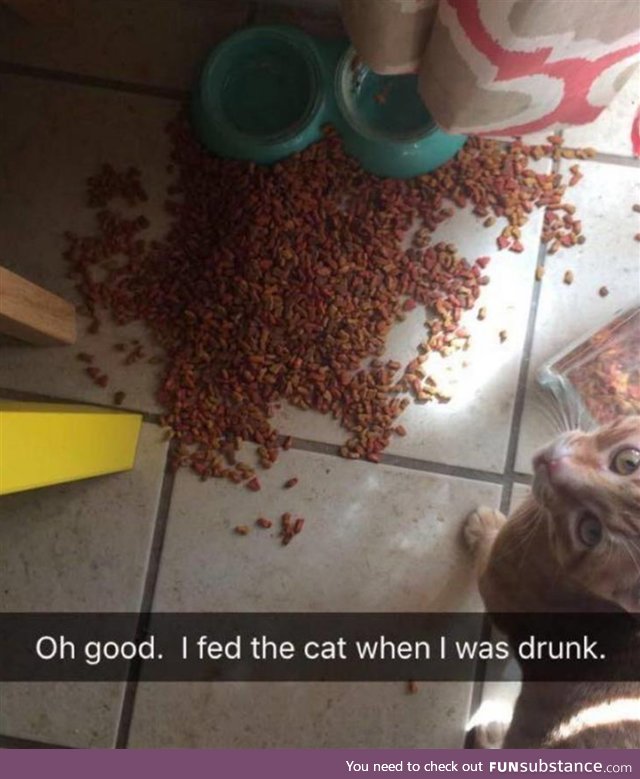 Fed the cat while drunk