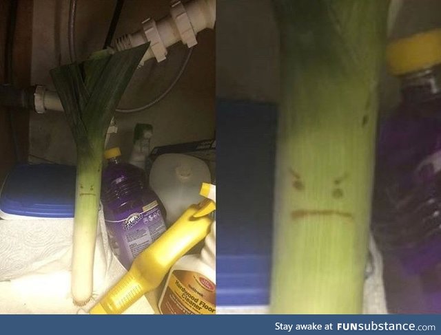 Serious leek under the sink