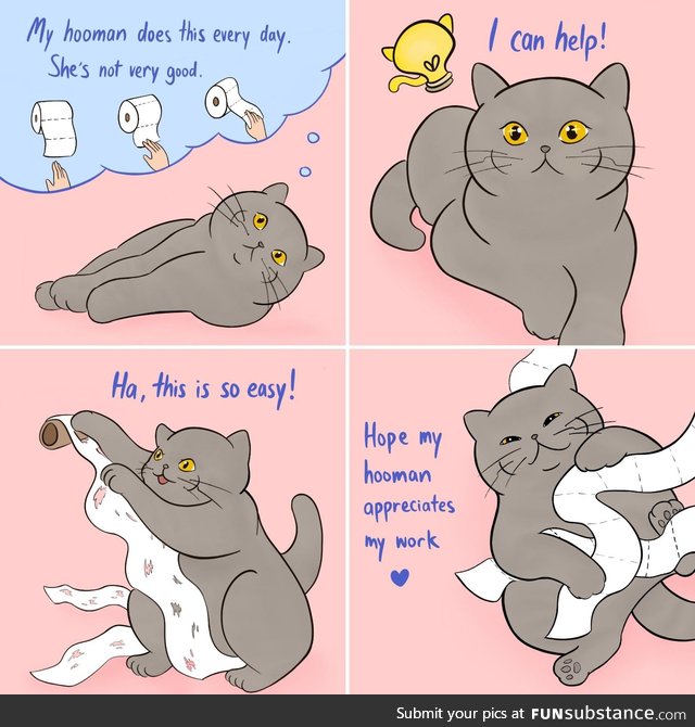 Kitty hero helps silly hooman @koobeycatcomics