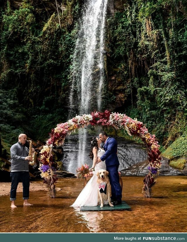 The best backdrop, the cutest best man