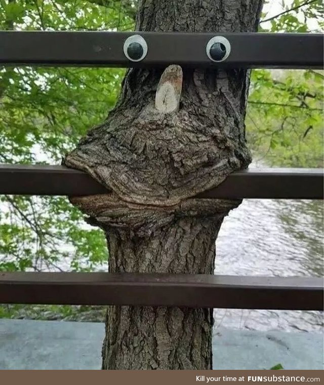 Nature's Sense of Humor