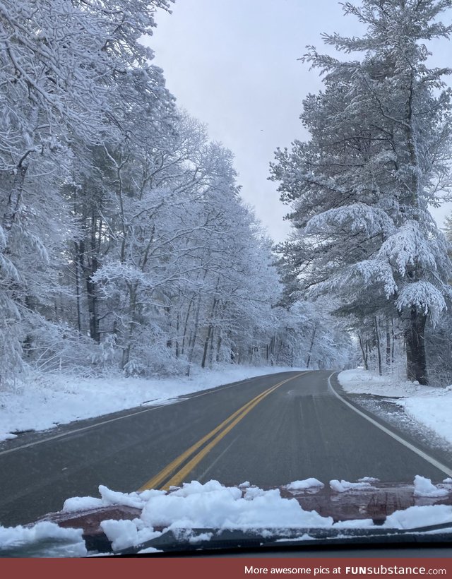 Morning commute. Cape Cod, MA (US)