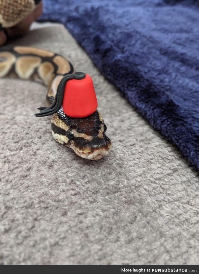 Making Hats For Snakes