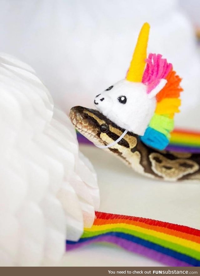 Making Hats For Snakes