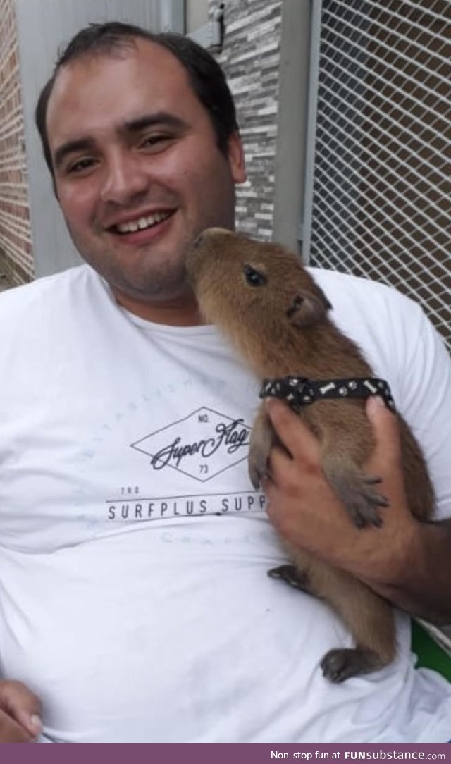 This is my friend’s pet nutria named Lola. She’s really affectionate