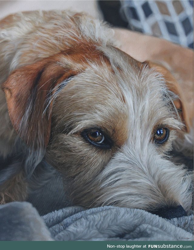 I paint pet portraits, this is one of my favourite recent ones, I hope you enjoy!