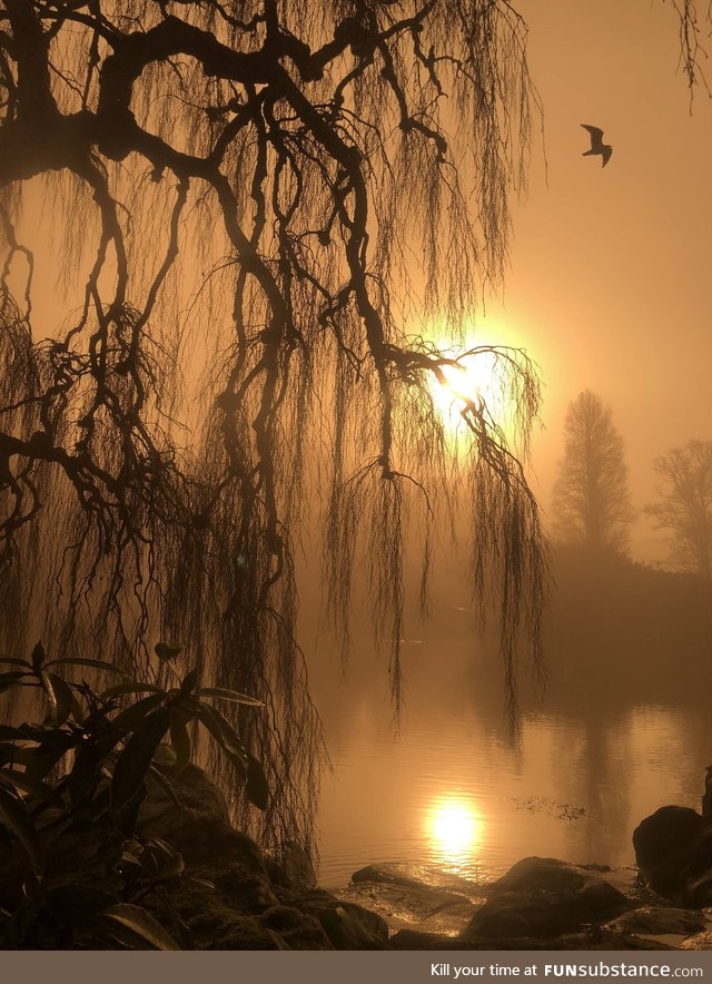 Cheap sunglasses in front of iPhone lens makes for eerie warmth (oc)