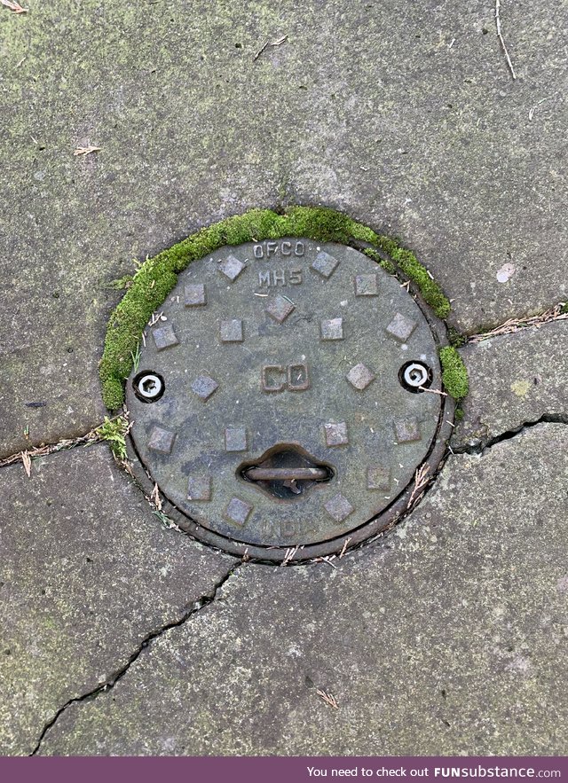 This manhole cover [OC]