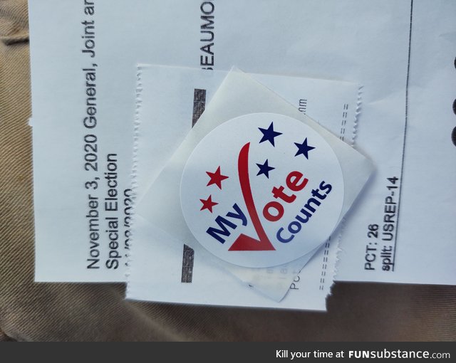 As a former life-long Republican Texan who skipped the last two votes, I voted Democrat