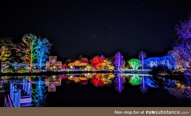 Got this shot during the light show at Lewis Ginter Botanical Garden