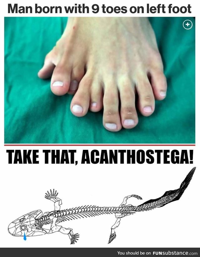 Yeah, take that you eight toed freak!