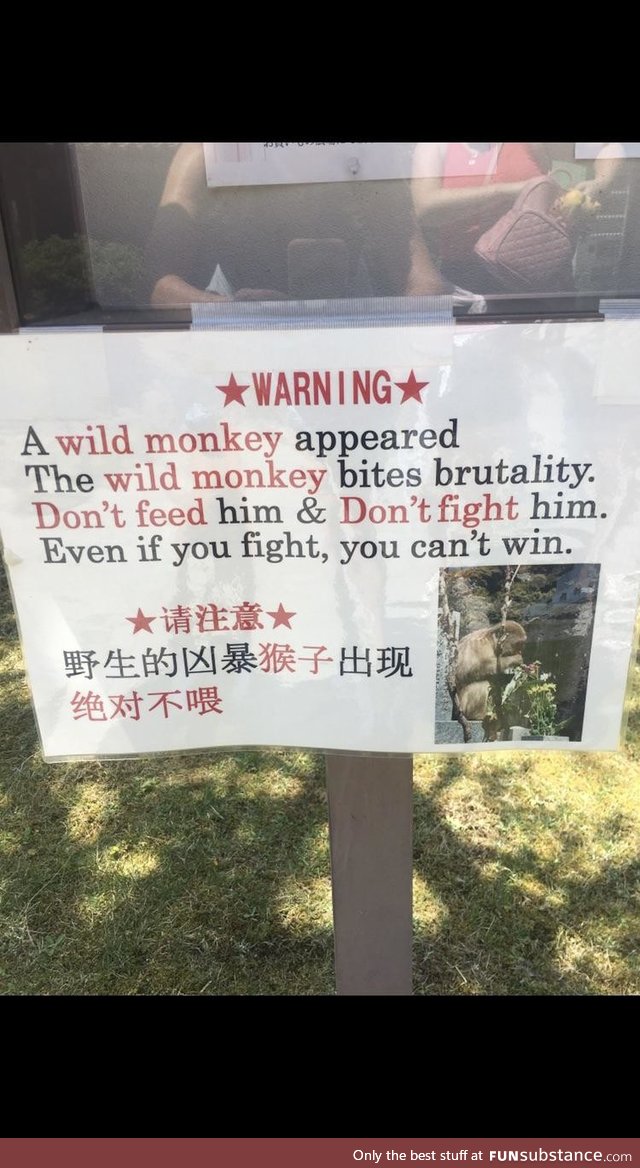 If there’s one thing I’m sure of, it’s that I’m fighting this monkey