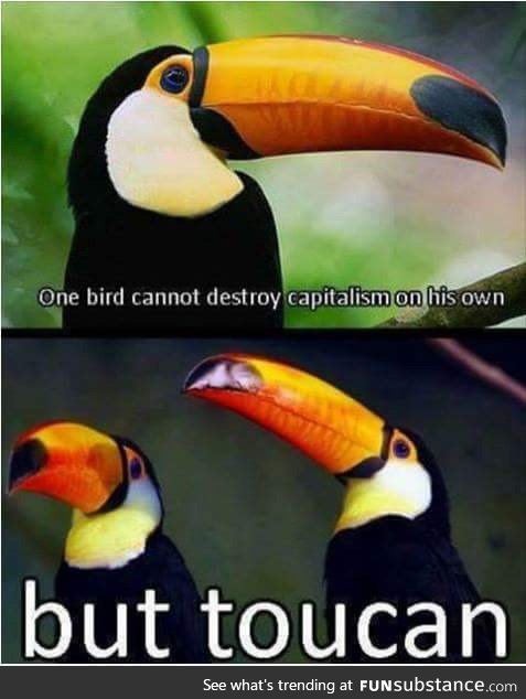 Toucans are going to destroy capitalism