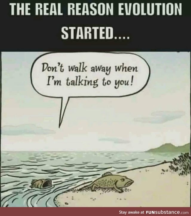 Real reason for the evolution