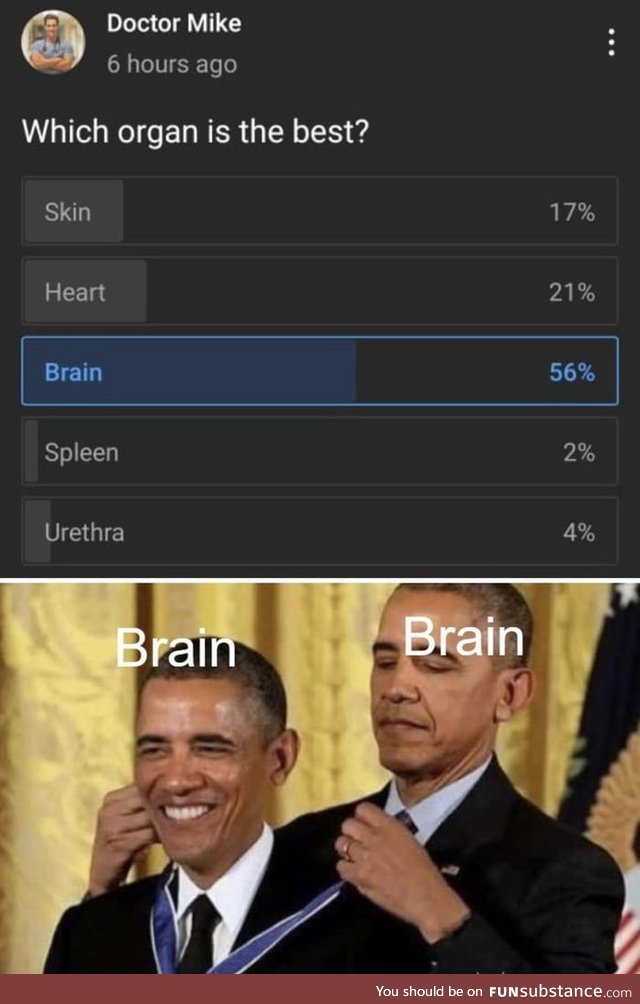 brain