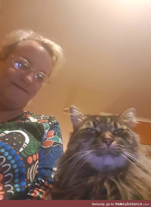 My mom sent me a selfie of her and my cat while I was away