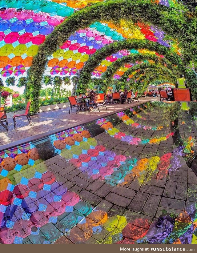 This reflection vortex at the Dubai Miracle Garden