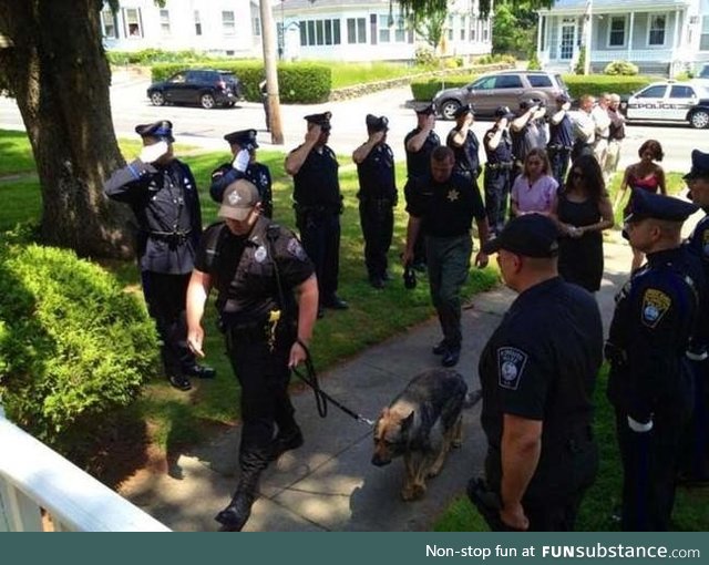 Police salute their K-9 companion as he walks to be put down