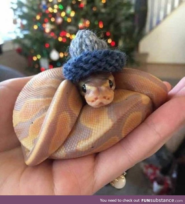 Making Hats For Snakes