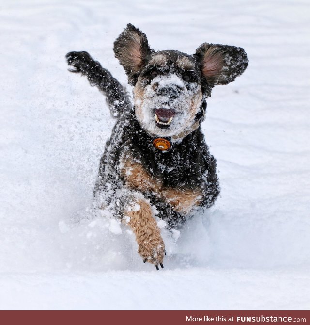 Snowball incoming!