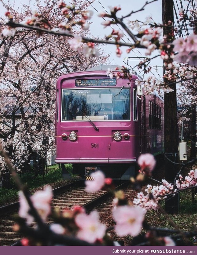 Train ride in Kyoto, Japan