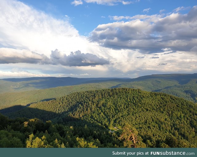 A view of the Blackforest