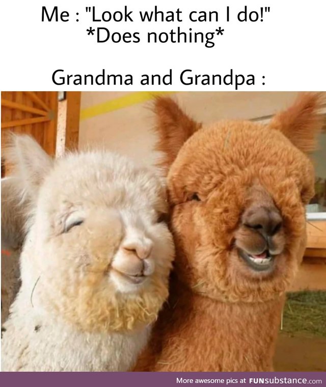 Grandma And Grandpa Alpaca