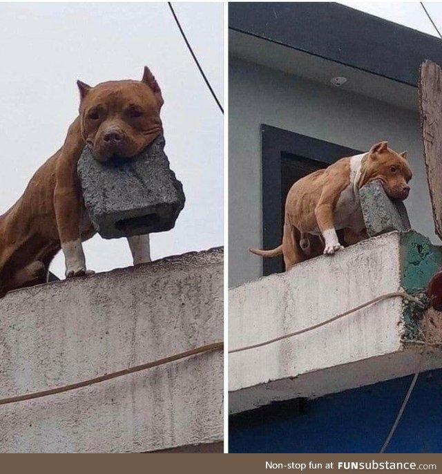 Stahlzahn, Sentinel of Concrete Hills