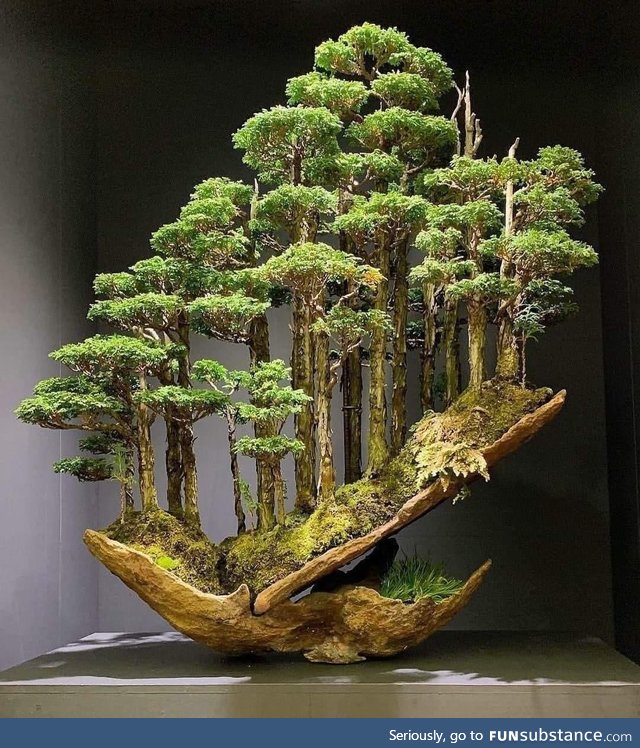 Amazing Bonsai by Grand Master Masahiko Kimura!