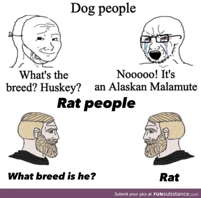 Rat supremacy