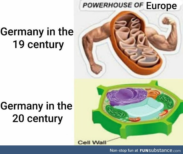 Biology and History meme