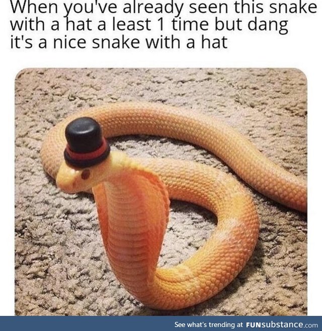 Snake wit da hat? :O