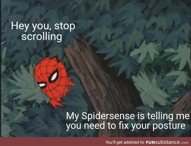 Your friendly neighborhood Spidy